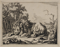 TvB G 0499
<br/>
Slapende leeuw
<br/>
<em>Bije, Marcus de (1639-ca. 1690)</em>